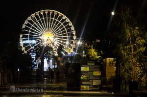 DSC_3974