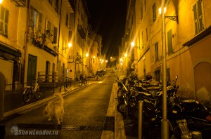 DSC_4073