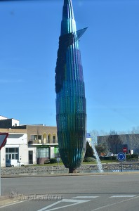 DSC_4155