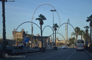 DSC_4169