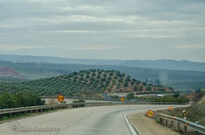 DSC_4266