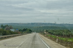DSC_4268