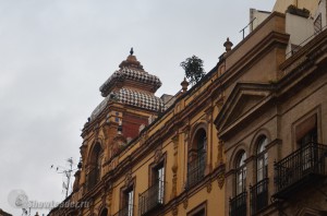 DSC_4300