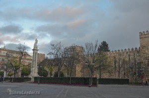 DSC_4350