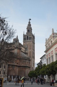 DSC_4360