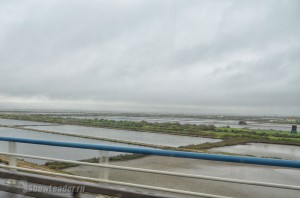 DSC_4370