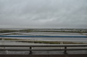 DSC_4371