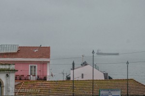 DSC_4460