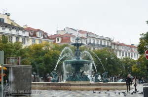 DSC_4496