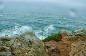 DSC_4537