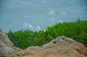 DSC_4539