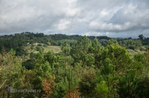 DSC_4581