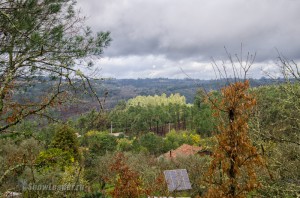 DSC_4596