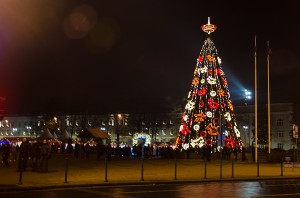 DSC_2482