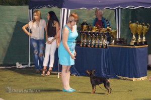 DSC08801