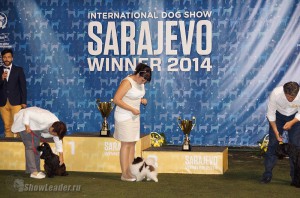 DSC08817