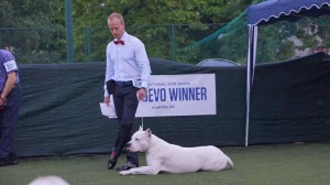 IMG_111569055330293