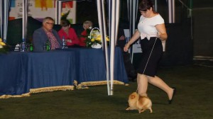 IMG_111626207535600