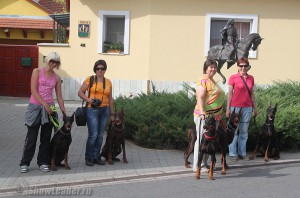 IMG_6163
