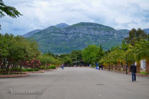 DSC_6947