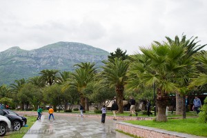 DSC_7041