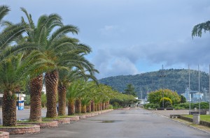 DSC_7197