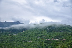 DSC_7259
